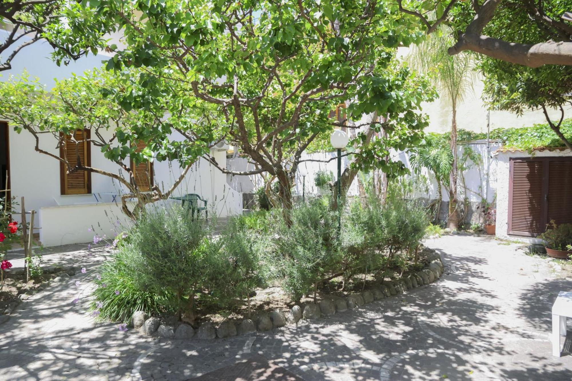 Hotel Cesotta Forio  Bagian luar foto