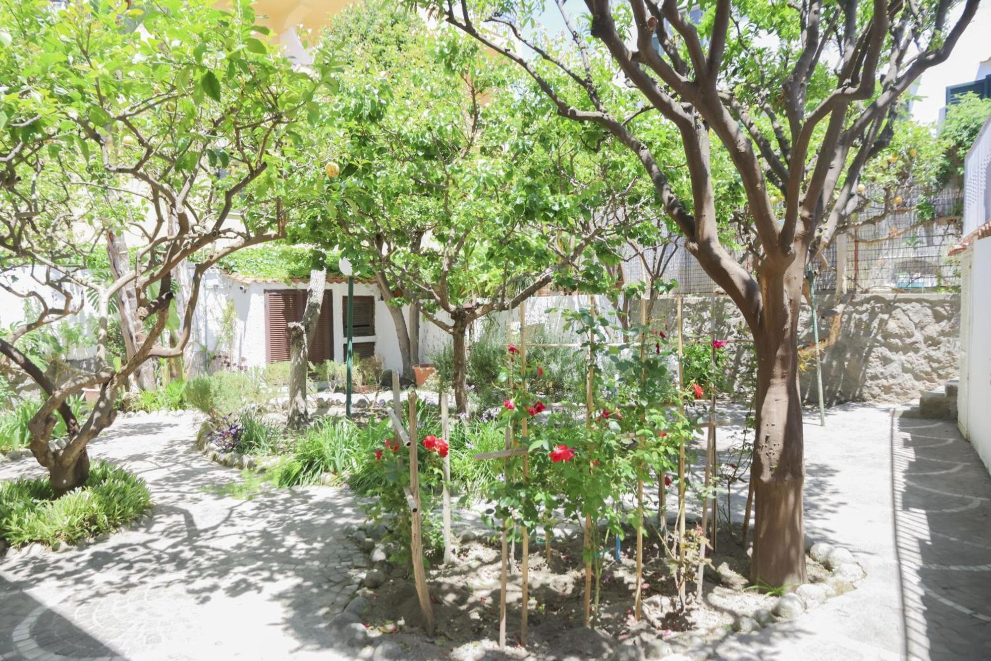 Hotel Cesotta Forio  Bagian luar foto